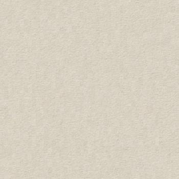 Vorwerk Modena 6C54 Teppichboden – Draufsicht auf die 100 m² Großrolle mit robuster Objektstruktur